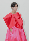 Two Tone Square Sleeves Dress