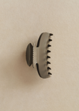 Fan Shell Claw — Fawn