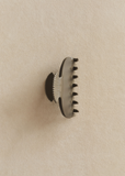 Small Fan Shell Claw — Fawn