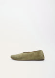 Coltellaccio Ballerina — Plant