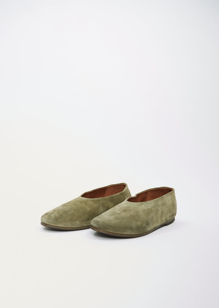 Coltellaccio Ballerina — Plant
