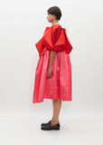 Two Tone Square Sleeves Dress