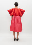 Two Tone Square Sleeves Dress