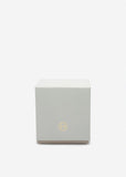 175g Candle — Ivy