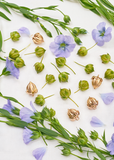 Flax Pod Earrings