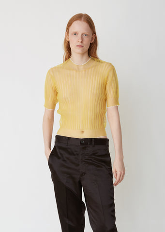 Gauge 18 Tulle Short Sleeve Top