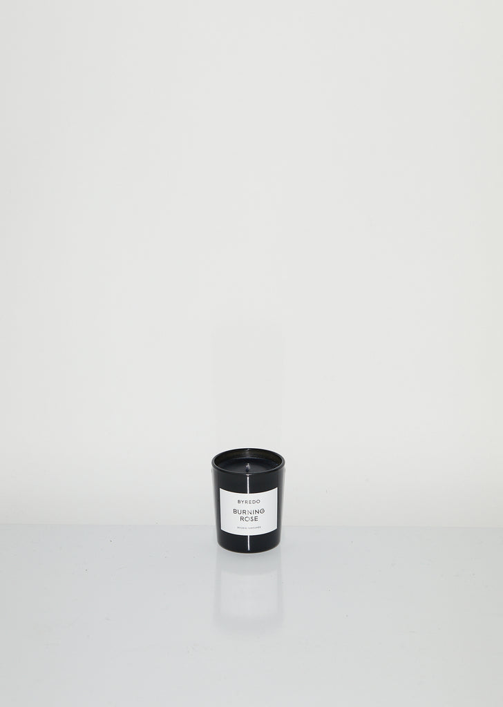 Burning Rose