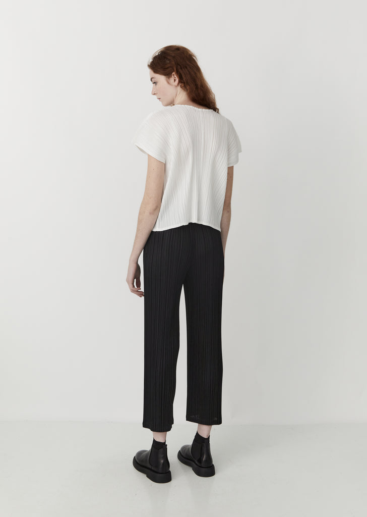 Pleated Pants