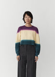 Raglan Sweatshirt