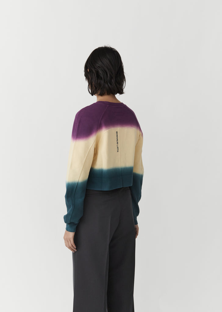 Raglan Sweatshirt