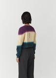 Raglan Sweatshirt