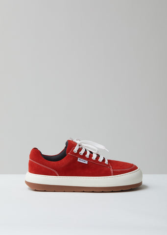 Dreamy Sneakers