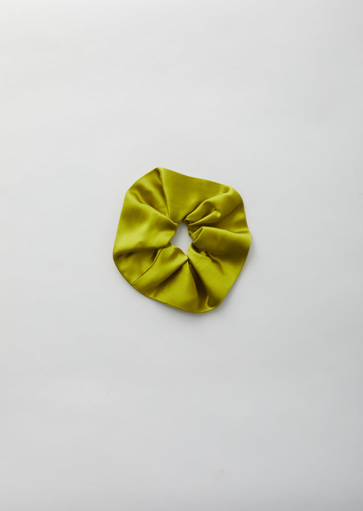 Elegant Scrunchie