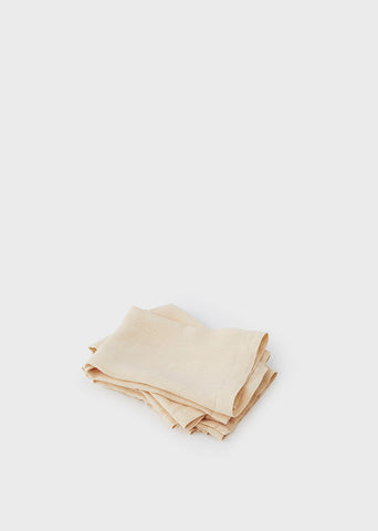 Napkin — Apple Core