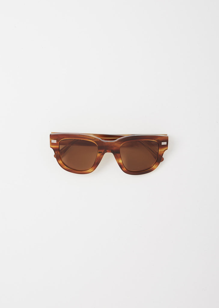 Wayfarer Sunglasses