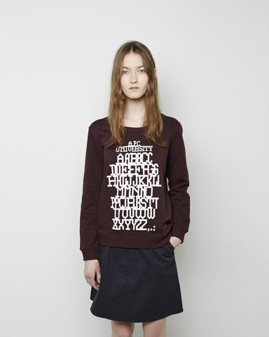 University Sweatshirt