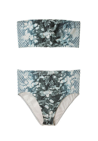 Ombre Two Piece Bikini