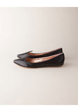 Pointy Ballet Flat