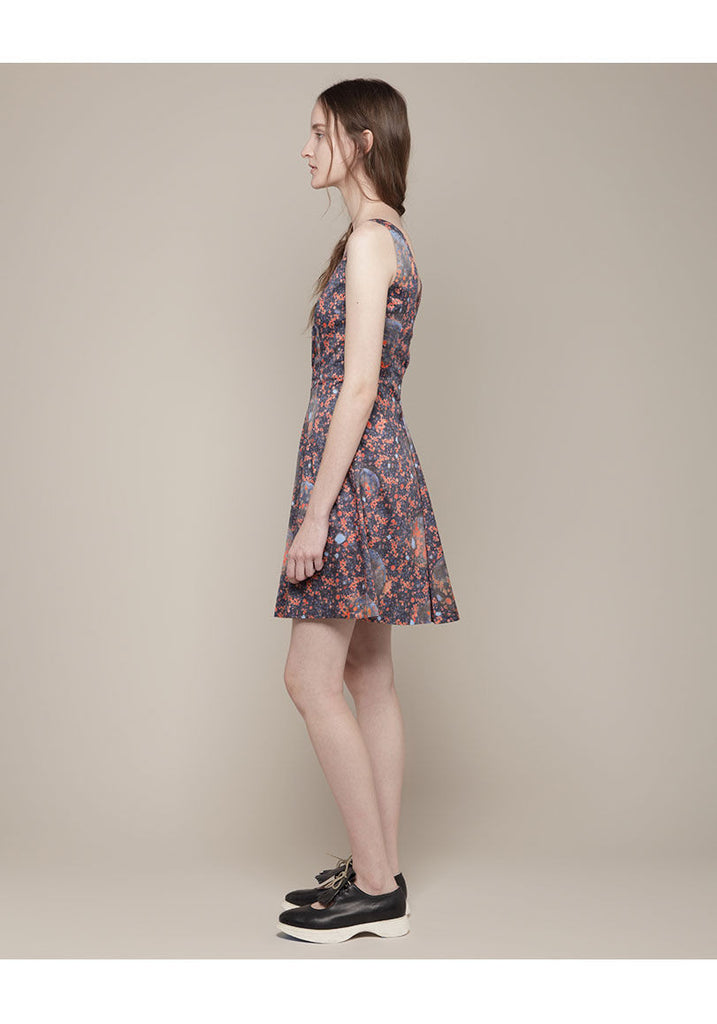 Sleeveless Printed Dress