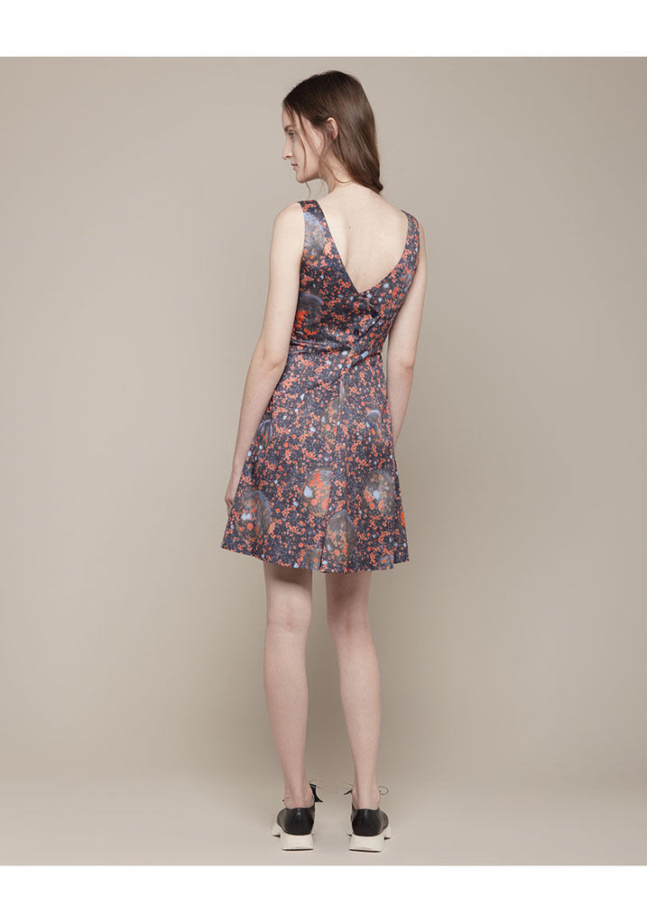 Sleeveless Printed Dress