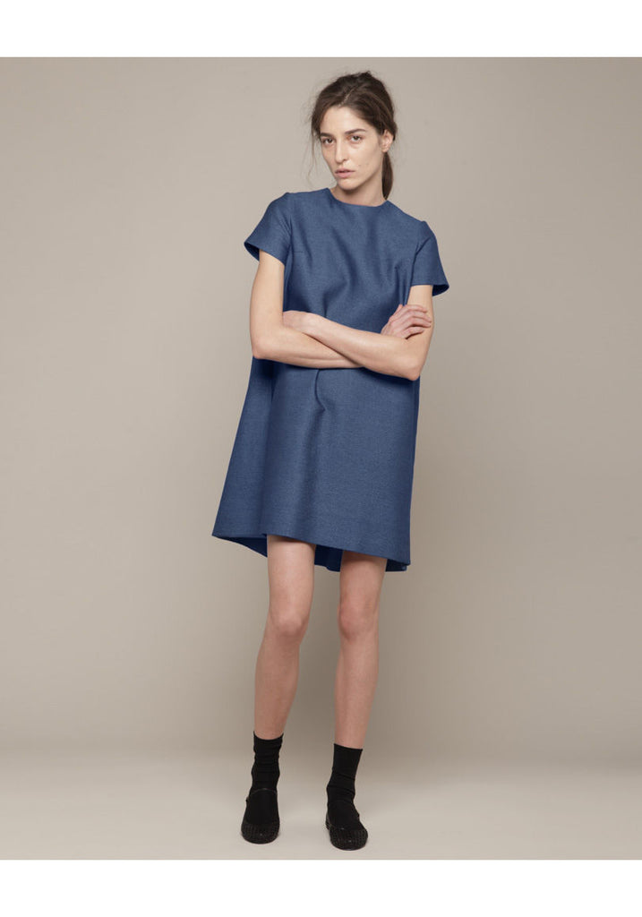 Mina Denim Dress