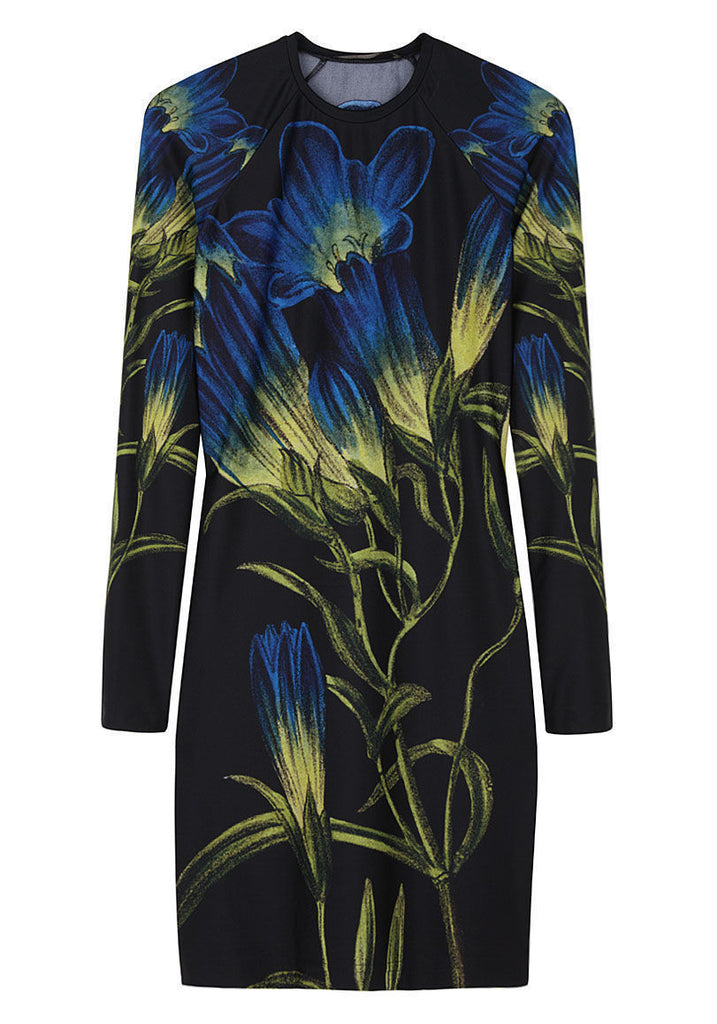 Long-Sleeved Bluebell