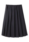 Pleated Skirt