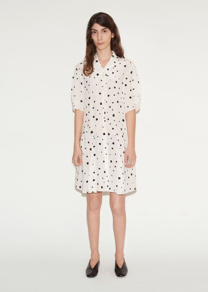 Printed Silk Crepe De Chine Dress