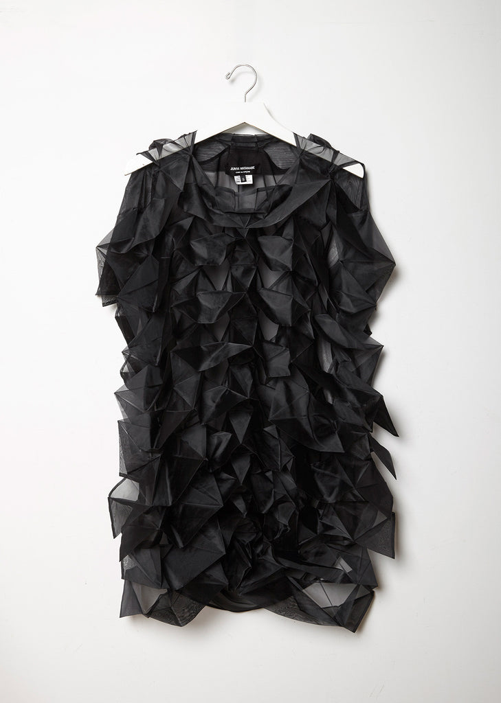 Sheer Overlayer Dress