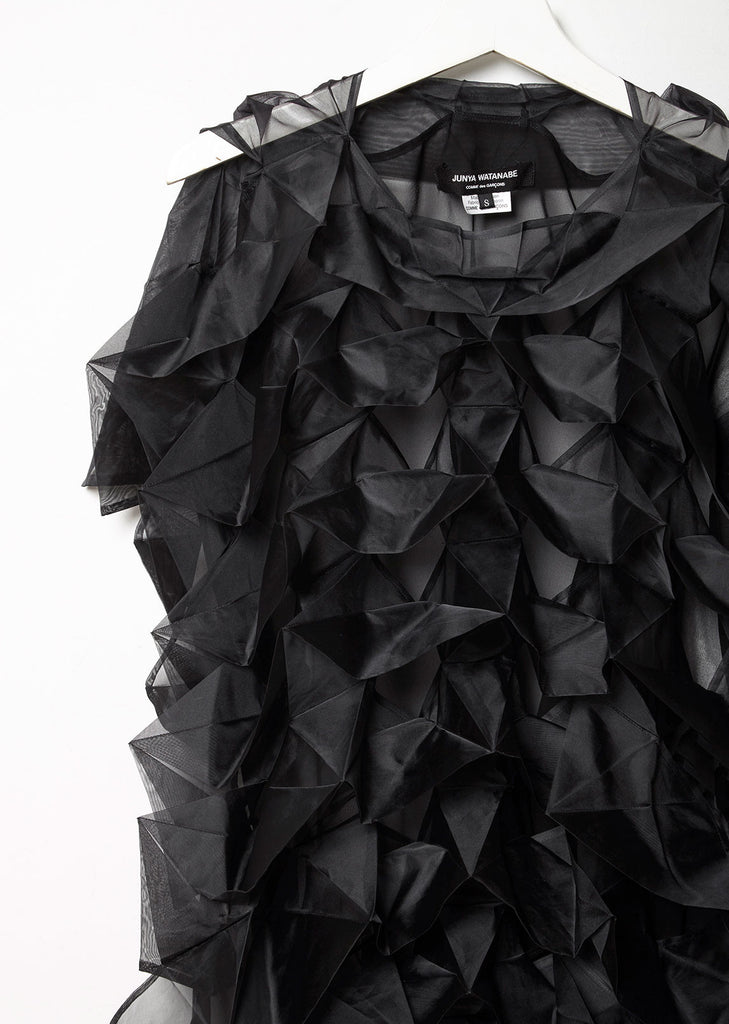 Sheer Overlayer Dress