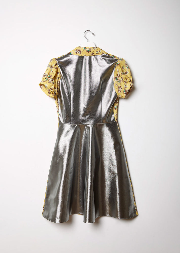 Silver Panel Print Dress