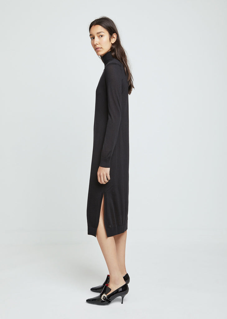 Roll Neck Long Sleeve Dress