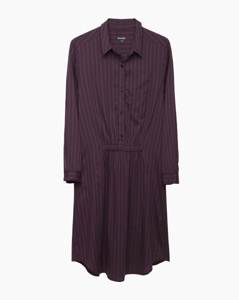 Atlas Shirtdress