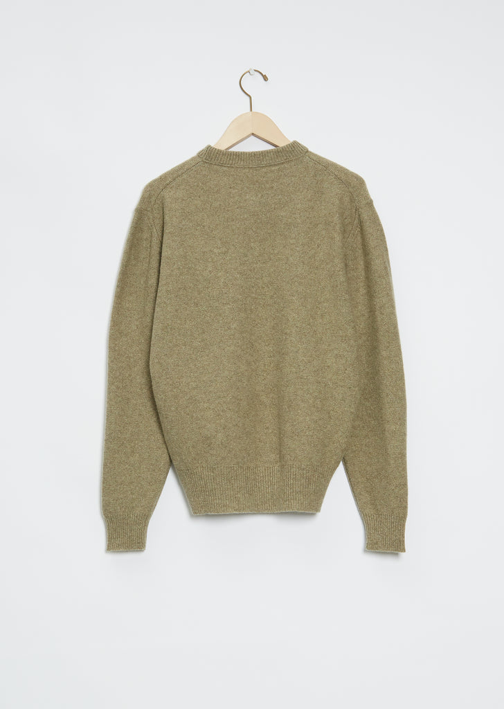 Men's Wool Crewneck Sweater — Meadow