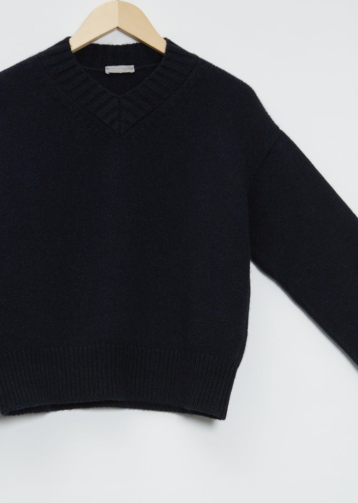 Wide Trim Cashmere V-Neck