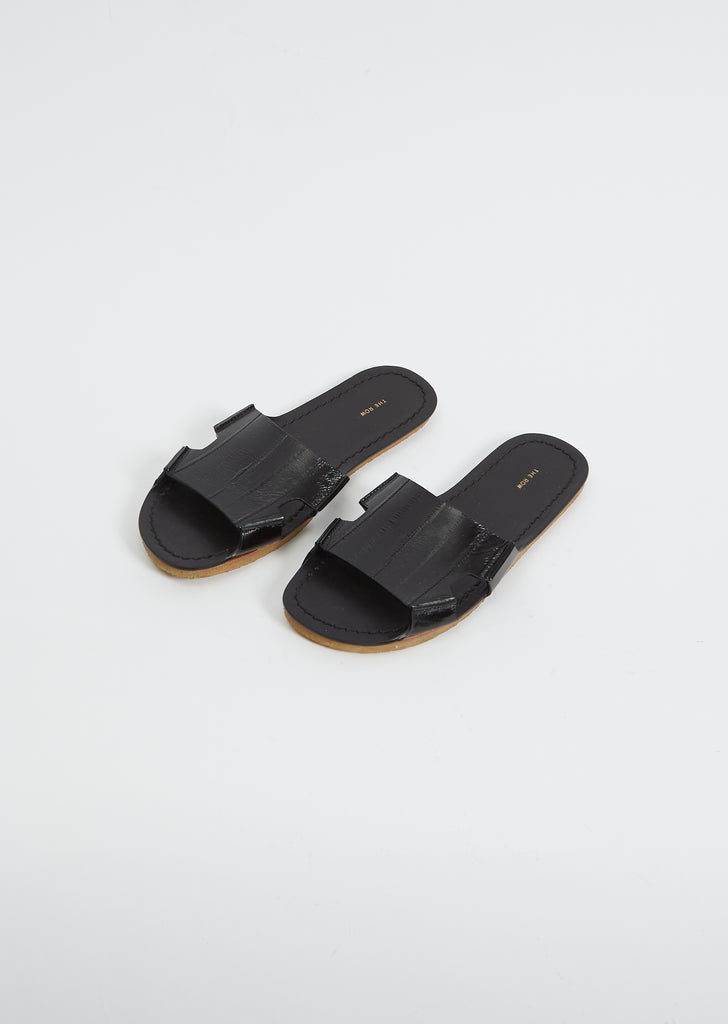 Gene Slide