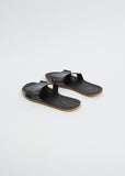 Gene Slide