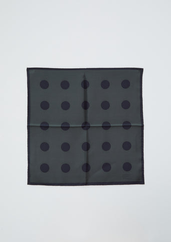Oversized Silk Twill Spot Scarf