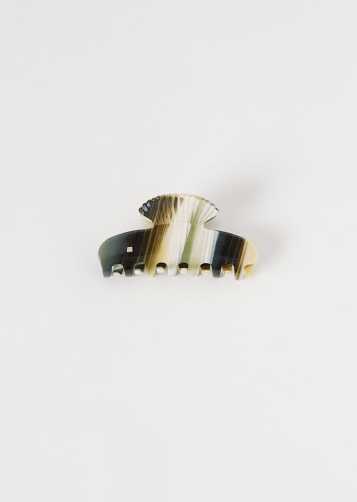 Small Fan Shell Claw