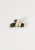 Small Fan Shell Claw