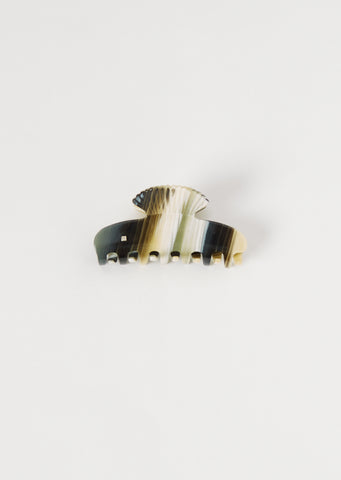 Small Fan Shell Claw