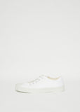 Special Low (WS)