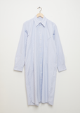 Darts Shirt Dress