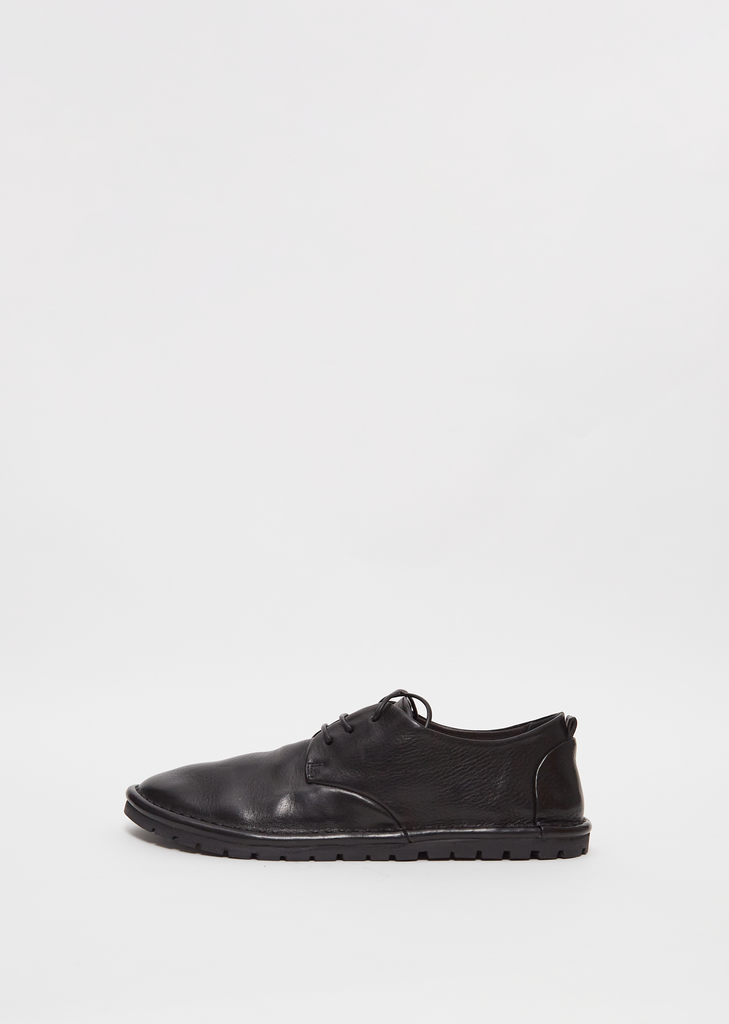 Sancrispa Derby — Black