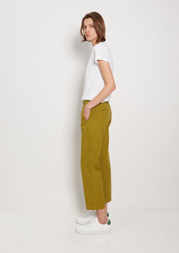 Sparus Cotton Linen Blend Pant — Guacamole