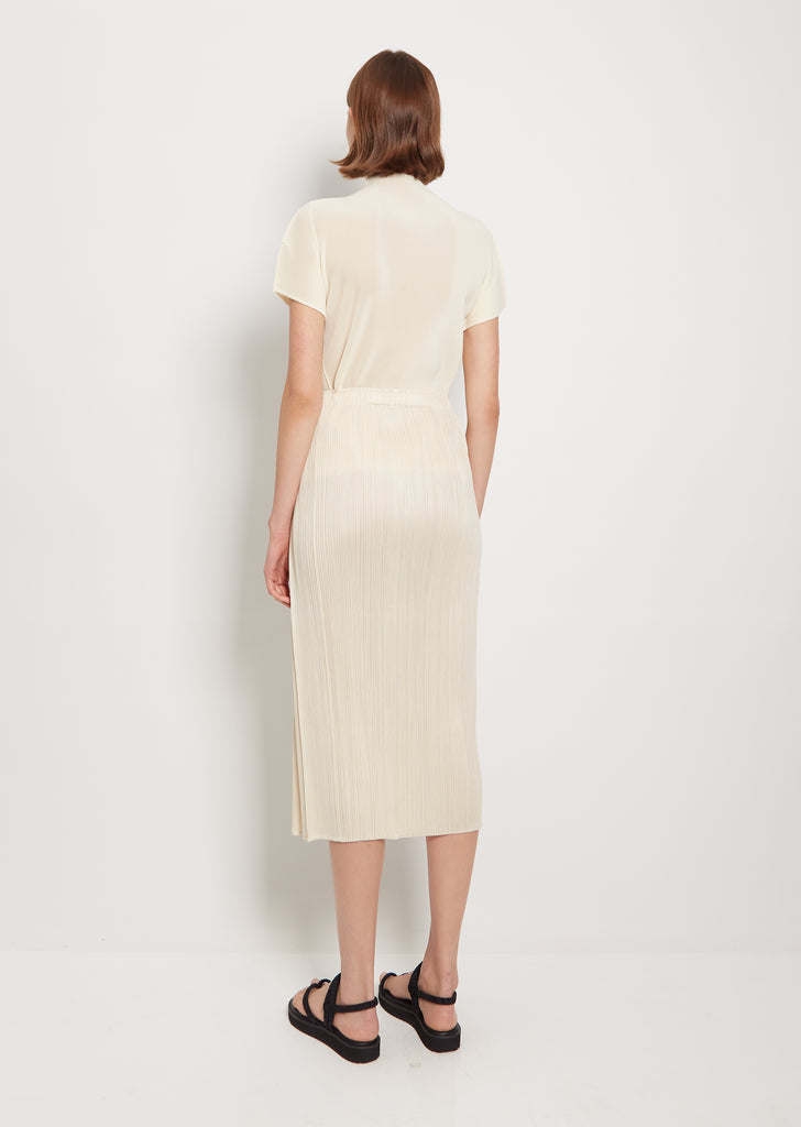 Pleats Skirt