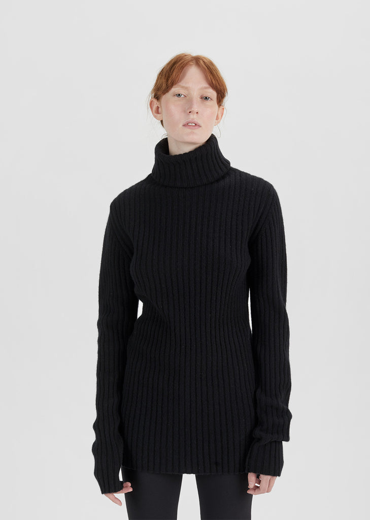 Wool Cashmere Ribbed Turtleneck