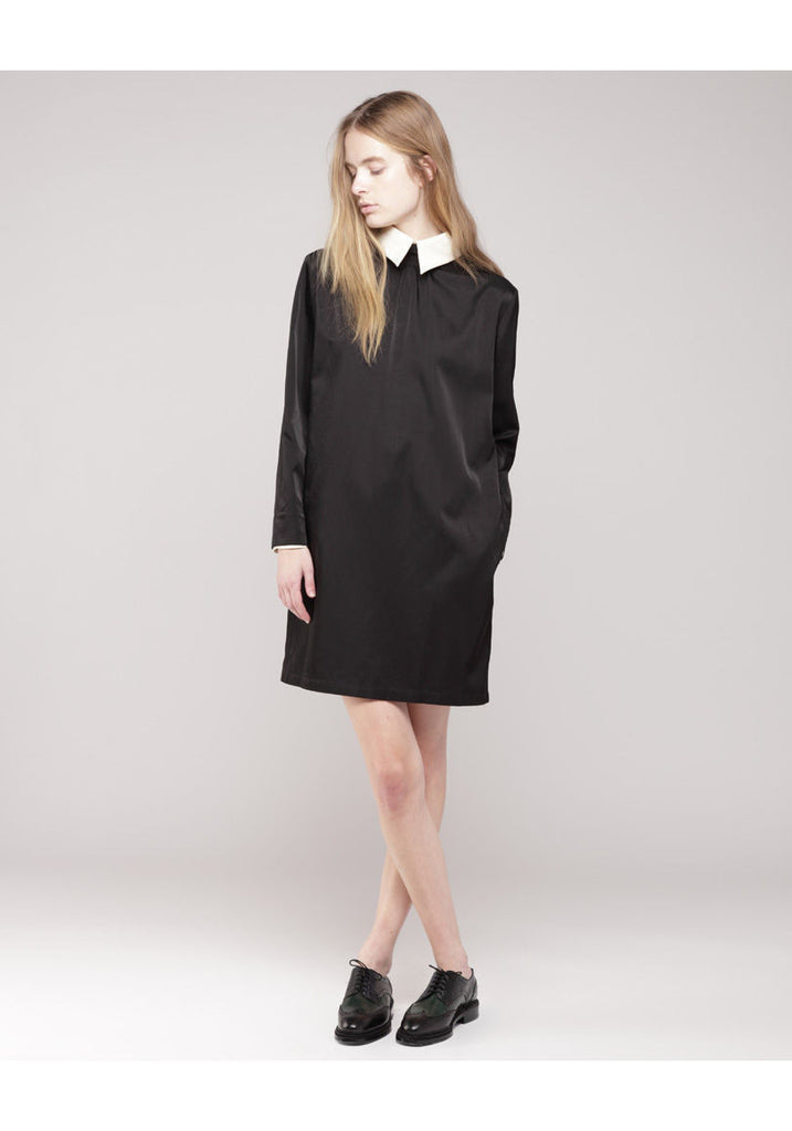 Contrast Collar Dress