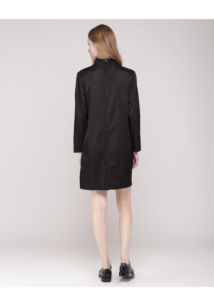 Contrast Collar Dress