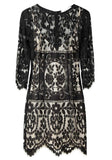 Tilly Lace Fitted Dress